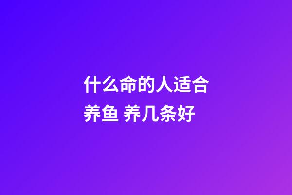 什么命的人适合养鱼 养几条好